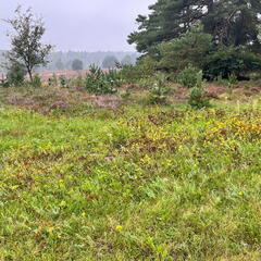 23-09-10 10-09-58 6595